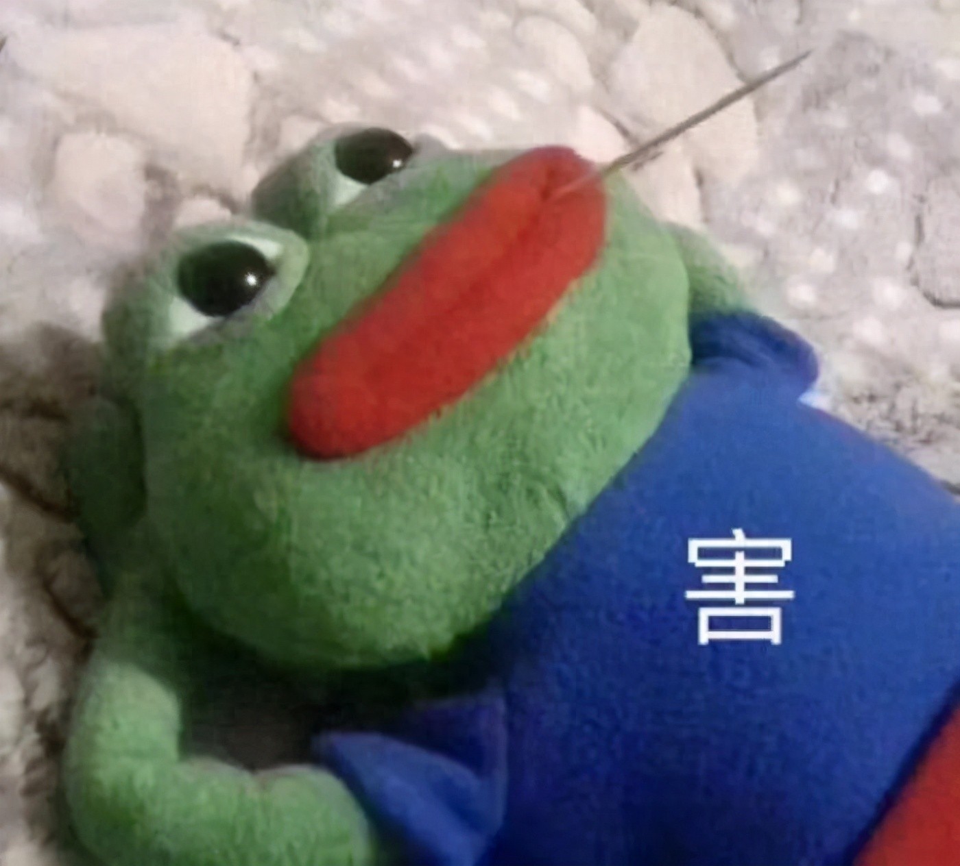 高考政治高分秘诀：掌握答题术语，分点踩分